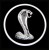 25 mustang logo cobra.jpg