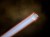 IMG_5492.JPEG