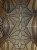IMG_5715.JPEG