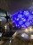 IMG_5339.JPEG